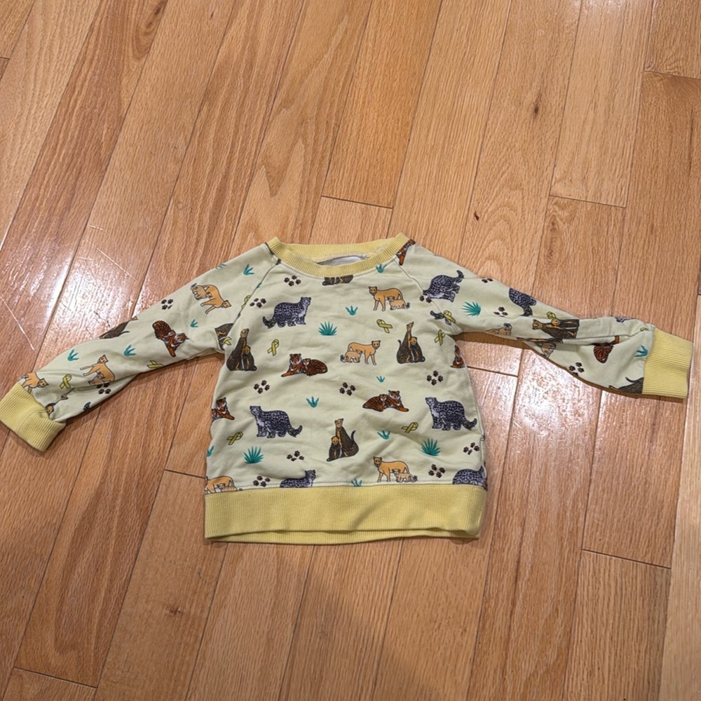 Bamboo infant sweatshirt